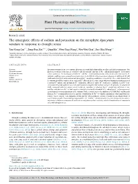 The Synergistic Effects of Sodium and Potassium on the Xerophyte