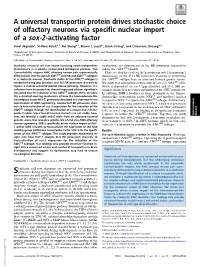 A Universal Transportin Protein Drives Stochastic Choice of Olfactory Neurons Via Specific Nuclear Import of a Sox-2-Activating Factor