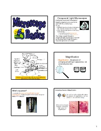 Compound Light Microscopes Magnification