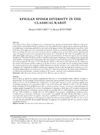 Epigean Spider Diversity in the Classical Karst