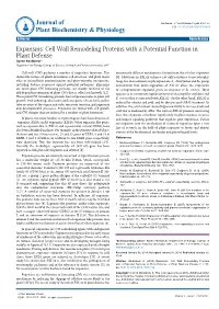 Expansins: Cell Wall Remodeling Proteins with a Potential Function In