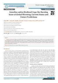 Camelina Sativa Biodiesel Cope the Burning Issue of Global Worming; Current Status and Future Predictions