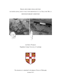Phd Thesis: University of Leicester