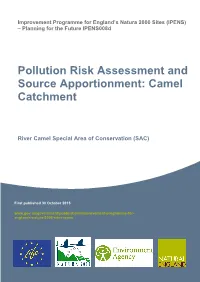 Pollution Risk Assessment and Source Apportionment: Camel Catchment