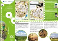 Web Portal Z P R R P Wojennych Ie I Z BRZESKA M R R N S a Ł R H O Z R Żo EJOW LUBLIN B O IECK Palaces and Mansions; Museums P M E A