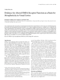 Evidence for Altered NMDA Receptor Function As a Basis for Metaplasticity in Visual Cortex