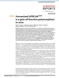 Humanized GPRC6AKGKY Is a Gain-Of-Function Polymorphism in Mice