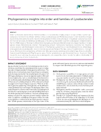 Phylogenomics Insights Into Order and Families of Lysobacterales