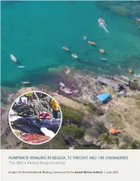 Report on Whaling in St. Vincent and the Grenadines