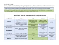 Muscle Charts: Students Should Be Able to Identify All Muscles Listed on the Daily Lab Pages