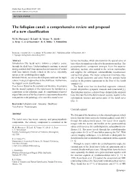 The Fallopian Canal: a Comprehensive Review and Proposal of a New Classification