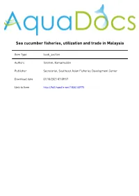 By Kamarruddin Ibrahim 5 Sea Cucumbers Or Holothurians (Class Holothuroidea, Phylum Echinodermata) Are Important Both Ecological