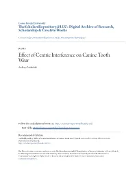 Effect of Centric Interference on Canine Tooth Wear Andrey Gaiduchik
