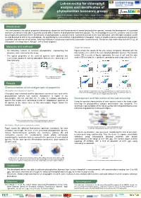 Lab-On-A-Chip for Chlorophyll Analysis and Identification of Phytoplankton Taxonomic Groups