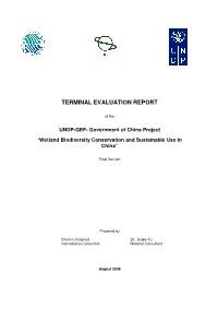 Terminal Evaluation Report