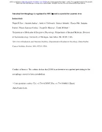 Intestinal Ferritinophagy Is Regulated by HIF-2Α and Is Essential For