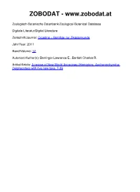 A Review of New World Asiracinae (Hemiptera: Auchenorrhyncha: Delphacidae) with Five New Taxa