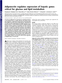 Adiponectin Regulates Expression of Hepatic Genes Critical for Glucose and Lipid Metabolism