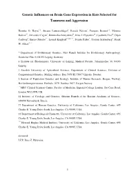 Genetic Influences on Brain Gene Expression in Rats Selected for Tameness and Aggression