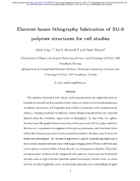 Electron Beam Lithography Fabrication of SU-8 Polymer Structures for Cell Studies