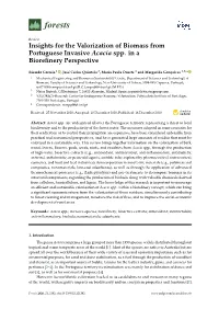 Insights for the Valorization of Biomass from Portuguese Invasive Acacia Spp