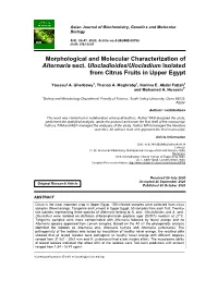 Morphological and Molecular Characterization of Alternaria Sect