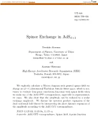 Spinor Exchange in Adsd+1