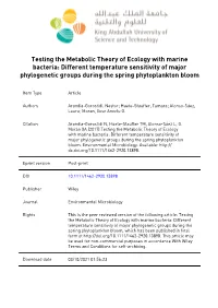 Testing the Metabolic Theory of Ecology with Marine Bacteria: Different Temperature Sensitivity of Major Phylogenetic Groups During the Spring Phytoplankton Bloom