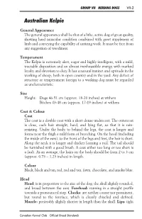 Australian Kelpie Breed Standard