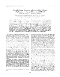Capsid Coding Sequence Is Required for Efficient Replication of Human