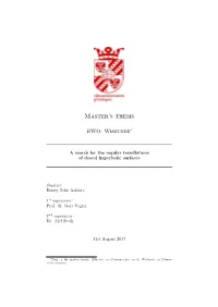 Master's Thesis