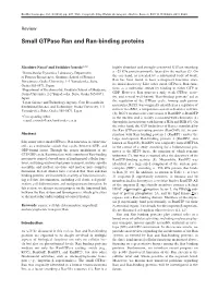 Small Gtpase Ran and Ran-Binding Proteins