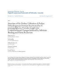 Structure of the Proline Utilization a Proline Dehydrogenase Domain