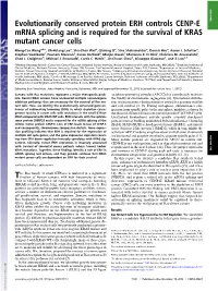 Evolutionarily Conserved Protein ERH Controls CENP-E Mrna Splicing