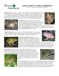 Quick Guide to Calling Amphibians Reference: Maine’S Amphibians and Reptiles