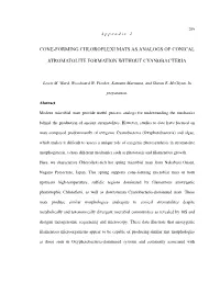 Cone-Forming Chloroflexi Mats As Analogs of Conical