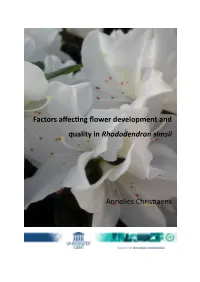 Factors Affecting Flower Development and Quality in Rhododendron Simsii