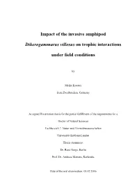 Impact of the Invasive Amphipod Dikerogammarus Villosus on Trophic Interactions Under Field Conditions”