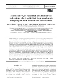 Marine Snow, Zooplankton and Thin Layers: Indications of a Trophic Link from Small-Scale Sampling with the Video Plankton Recorder
