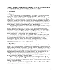 CHAPTER 3 COMPARATIVE ANATOMY of BARK on BRANCHES and RAMETS of COMMON DICOTYLEDONOUS TREES and WOODY SHRUBS. 3.1. Introduction