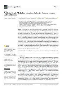 Artificial Diets Modulate Infection Rates by Nosema Ceranae In