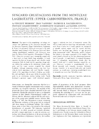 Syncarid Crustaceans from the Montceau Lagersta¨Tte