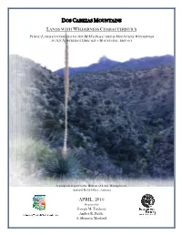 Dos Cabezas Mountains Proposed LWC Is Affected Primarily by the Forces of Nature and Appears Natural to the Average Visitor