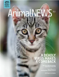 A Deadly Virus Makes a Comeback