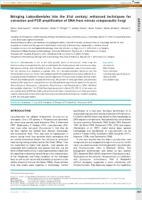 AR TICLE Bringing Laboulbeniales Into the 21St Century: Enhanced Techniques for Extraction and PCR Amplification of DNA From