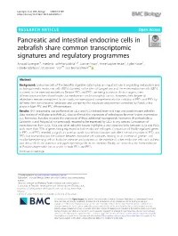 Pancreatic and Intestinal Endocrine Cells in Zebrafish Share Common Transcriptomic Signatures and Regulatory Programmes