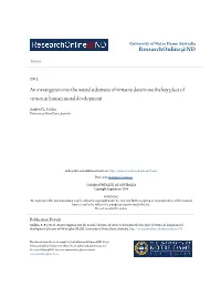 An Investigation Into the Neural Substrates of Virtue to Determine the Key Place of Virtues in Human Moral Development