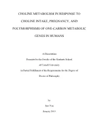 Choline Metabolism in Response to Choline Intake, Pregnancy, And
