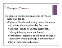 + Complex Tissues