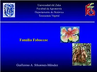 Fam+Fabaceae.Pdf